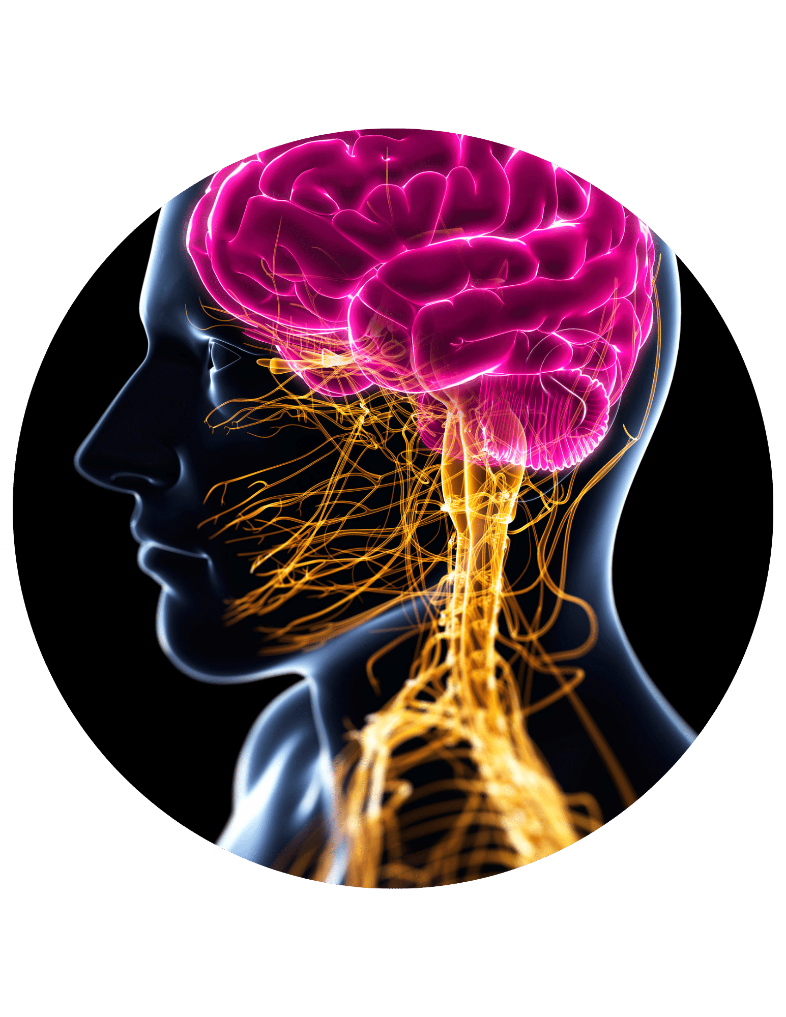 Get Better Results for Your Clients with Hypnosis (3)