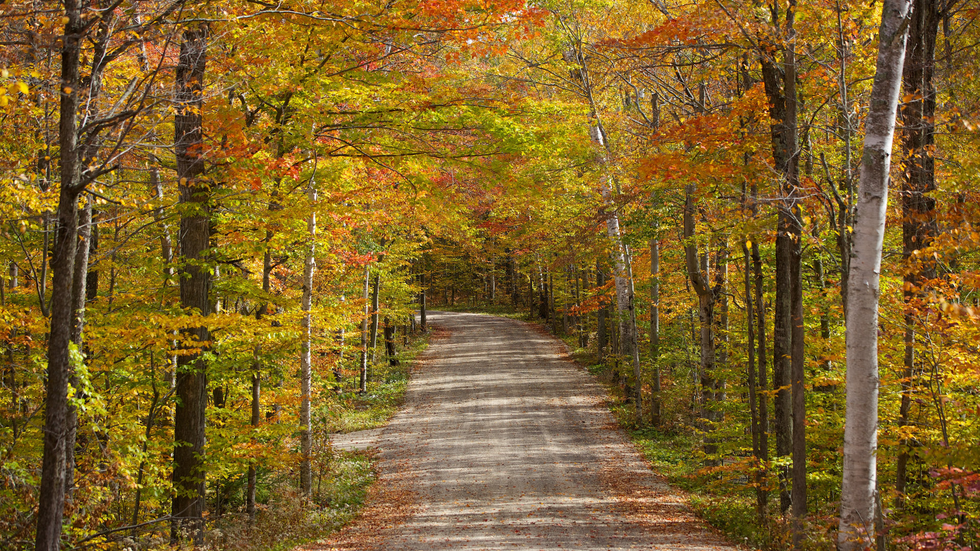 Gratitude: A Gateway to Transformation